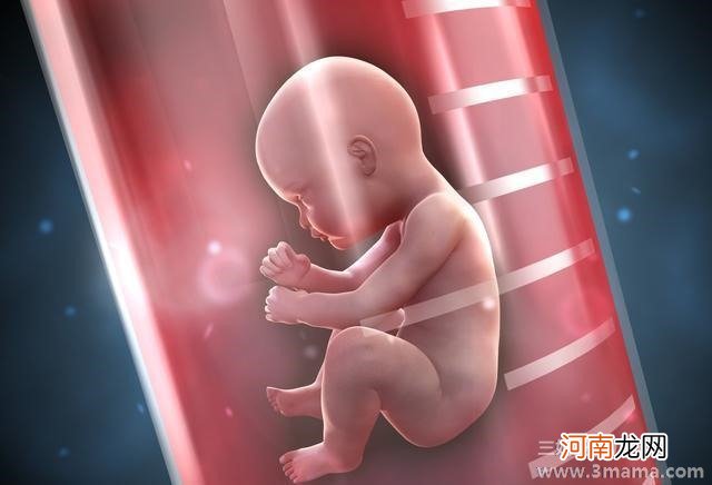 美国试管婴儿中冻胚移植与鲜胚移植的主要差别在哪？