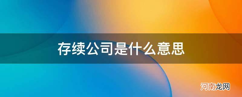 公司存续是啥意思 存续公司是什么意思