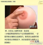 催乳师怎么催奶手法