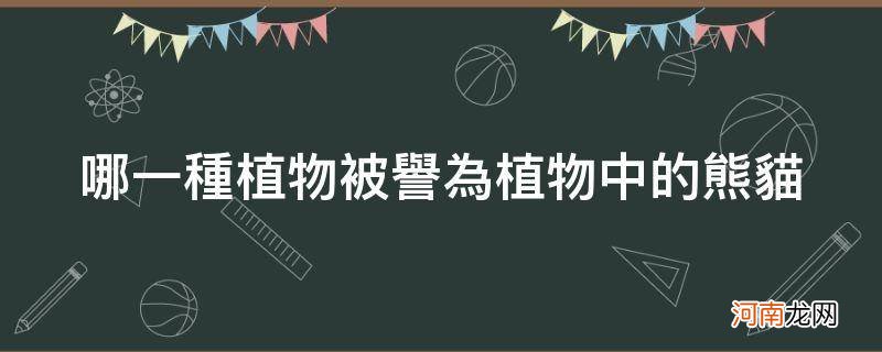 哪些植物被誉为植物中的熊猫 哪一种植物被誉为植物中的熊猫