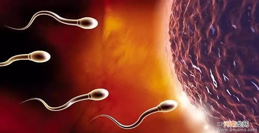 【试管婴儿取卵后卵巢多久恢复正常】试管取卵后卵巢多长时间能恢复正常