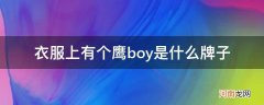 一个鹰的牌子衣服boy 衣服上有个鹰boy是什么牌子