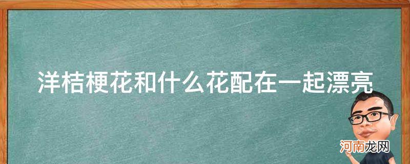 洋桔梗花配什么花好看 洋桔梗花和什么花配在一起漂亮