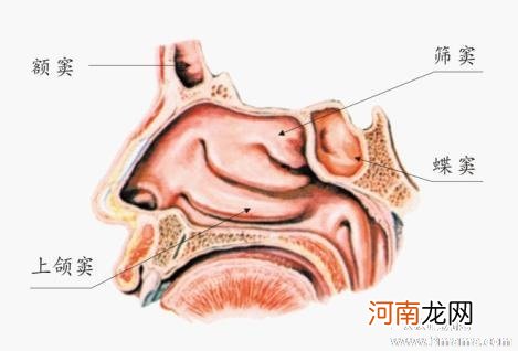 急性鼻炎有哪些症状