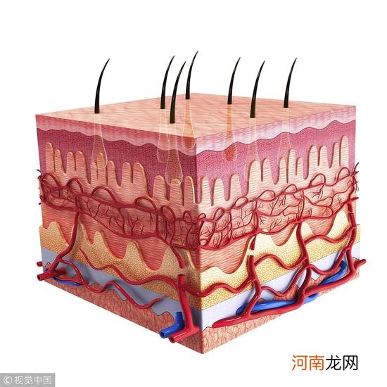 冬季护肤攻略