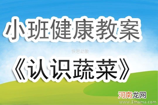 幼儿园小班《多吃蔬菜不挑食》健康教案及反思