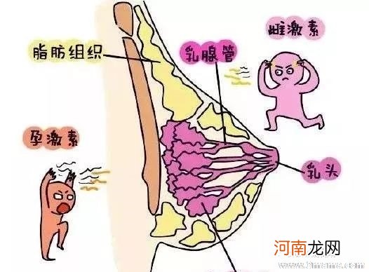 乳房疼痛的原因