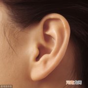 哪些人需要做耳朵整形手术？耳朵整形可让耳朵变美