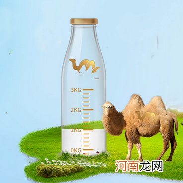 骆驼奶多少钱一斤