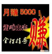 没有人脉如何玩金蟾网转发文章日进100+