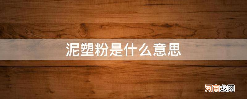 泥塑粉是什么意思网络用语 泥塑粉是什么意思