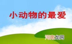 幼儿园小班科学活动《鱼儿的家要打扫了》教案