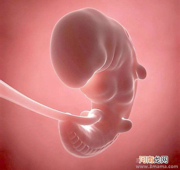 孕晚期怎么躺对胎儿好