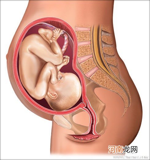 孕31周胎儿与母体状况