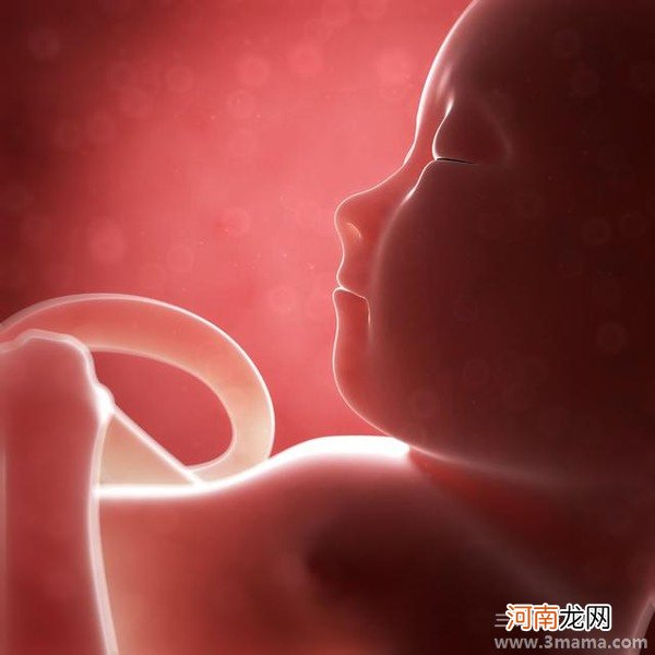产前须知：什么是胎儿宫内窘迫