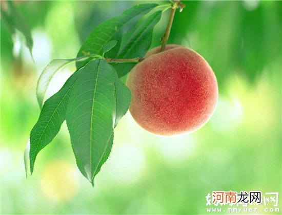 疑问两岁宝宝可以吃桃子吗 医生回答说：能不吃就不吃
