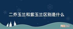 二乔玉兰和白玉兰怎么区分 二乔玉兰和紫玉兰区别是什么