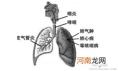 支气管炎的五种预防方法