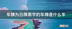 车牌号是黑牌白字是什么车牌 车牌为白牌黑字的车牌是什么车