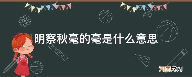 明察秋毫的毫是什么意思法官大人 明察秋毫的毫是什么意思