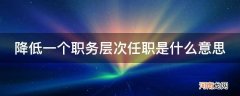 降低一个以上职务层次 降低一个职务层次任职是什么意思