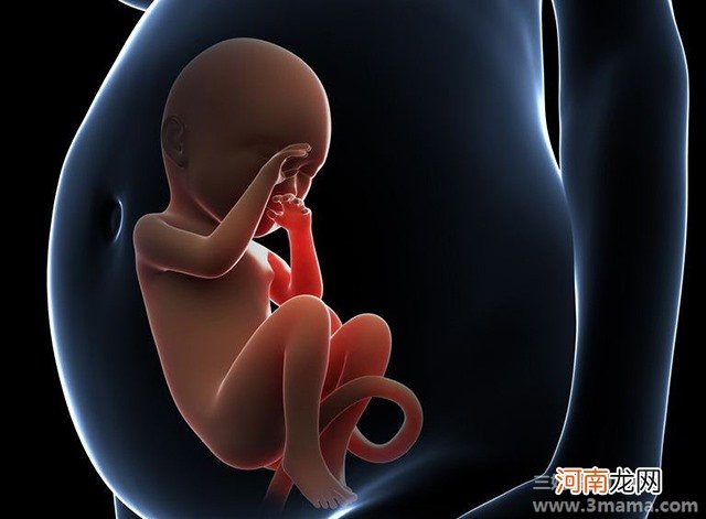 泰国试管婴儿成功率是多少？冻胚和鲜胚哪个成功率高