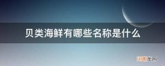 所有常见贝类海鲜名称和图片 贝类海鲜有哪些名称是什么