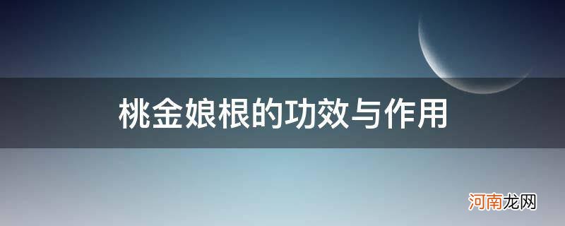 桃金娘根的功效与作用图片 桃金娘根的功效与作用