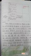 幼儿园中班社会教案《蒲公英旅行记》及反思