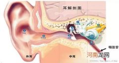 感冒并发症之——中耳炎