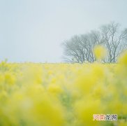 小儿厌食症是什么