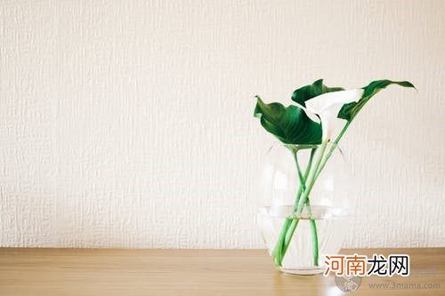 顺产后恶露多久干净