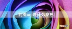 前缀uni是什么意思