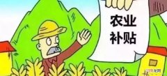 农村二胎政策有补贴吗