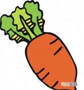 美国科学家研究证实多吃胡萝卜有助于预防心脏疾病