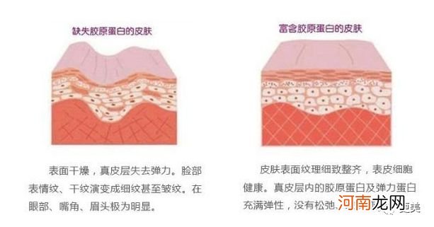 爆痘、衰老、痴呆，新一代年轻人正在被奶茶毁掉