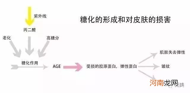 爆痘、衰老、痴呆，新一代年轻人正在被奶茶毁掉