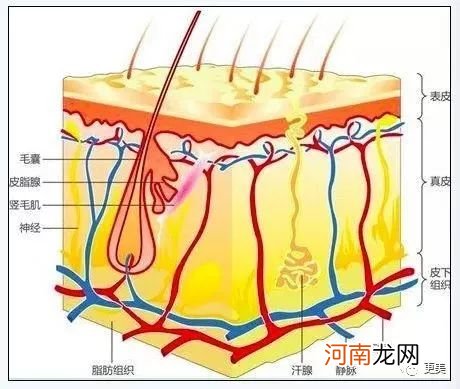 爆痘、衰老、痴呆，新一代年轻人正在被奶茶毁掉