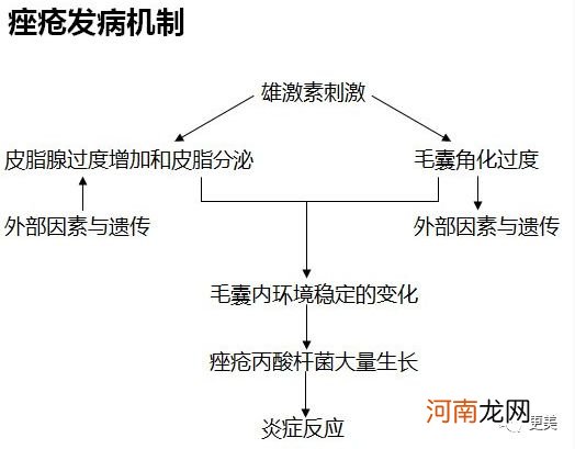 爆痘、衰老、痴呆，新一代年轻人正在被奶茶毁掉