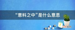 一切都在意料之中是什么意思 “意料之中”是什么意思