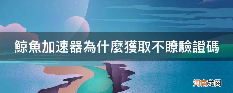 海豚加速器收不到验证码 鲸鱼加速器为什么获取不了验证码