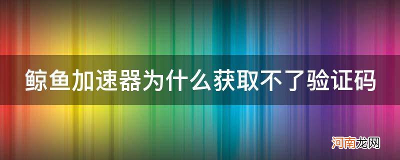 海豚加速器收不到验证码 鲸鱼加速器为什么获取不了验证码