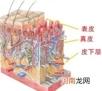 38岁蔡依林维持少女感的秘密竟是&#8230;网友称很实在