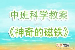 幼儿园中班科学活动《甲虫小博士》教案