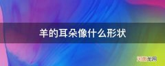 羊的耳朵长什么样子 羊的耳朵像什么形状