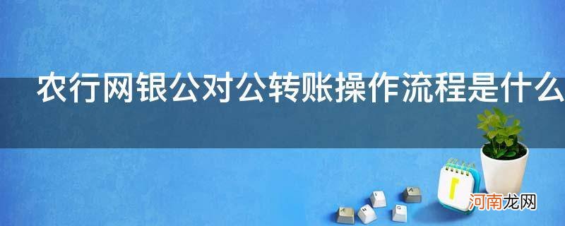 农行网银公对公转账操作流程是什么