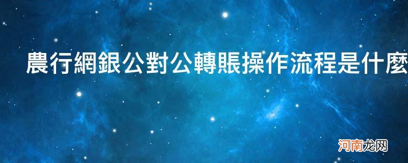 农行网银公对公转账操作流程是什么