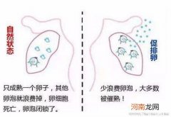 做泰国试管婴儿需不需要促排卵？