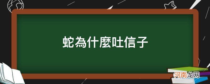 蛇为什么吐信子后逃跑 蛇为什么吐信子