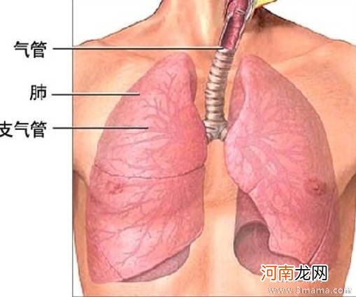 小儿支气管炎怎么治 中医治疗安全有效